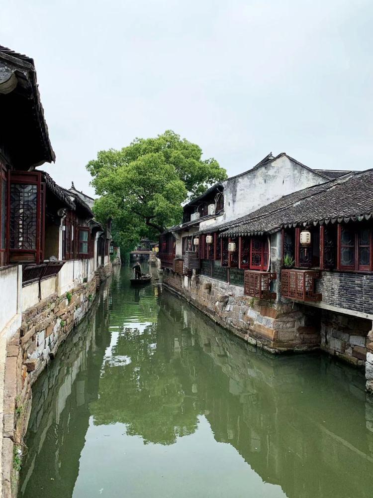 中药中的宝贵之物——川芎，为何受运动神经元患者如此追捧？